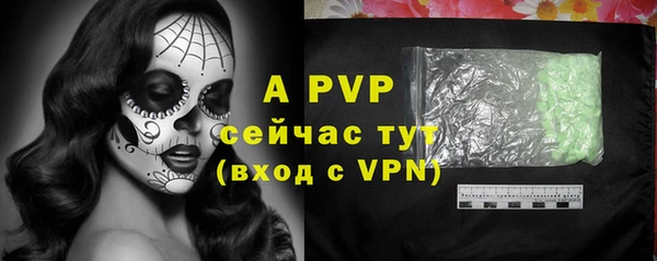 хмурый Абаза