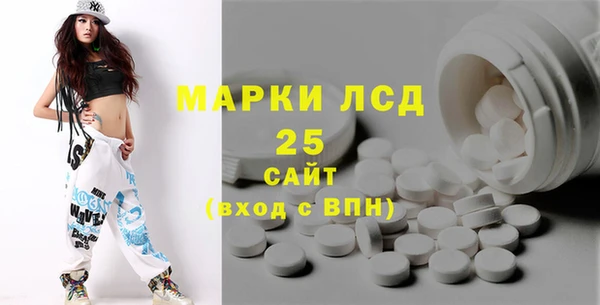 ECSTASY Алзамай