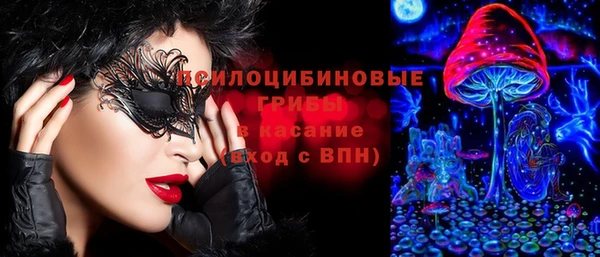 ECSTASY Алзамай