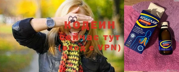 ECSTASY Алзамай